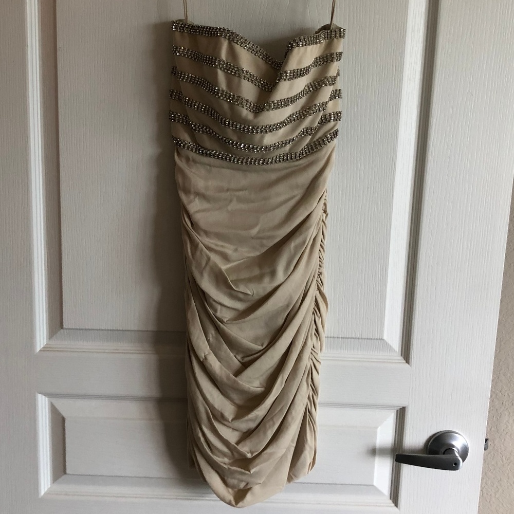 Alice and Olivia Ruched Beaded Dress